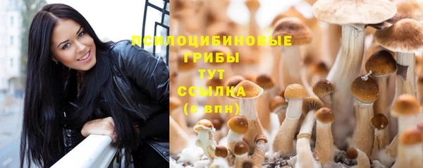 кокс Нягань