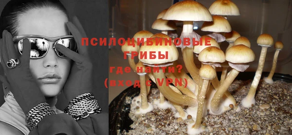 амф Новозыбков