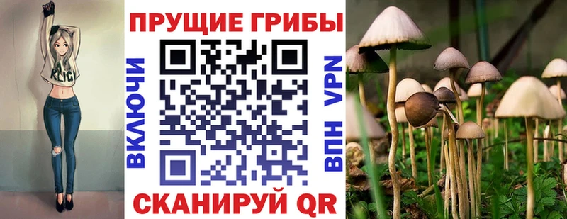 Псилоцибиновые грибы мицелий  Инта 